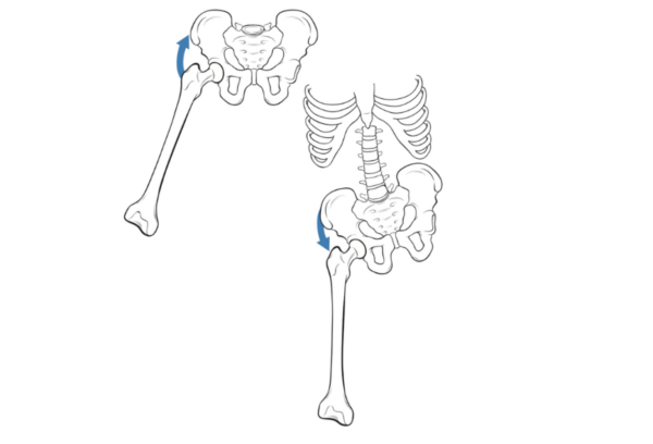 Biomechanika Przysiadu